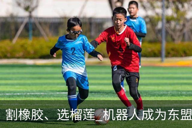 割橡胶、选榴莲 机器人成为东盟市场“新宠” 各国释放明确需求信号