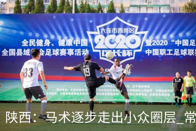 陕西：马术逐步走出小众圈层 常年参训人数达数千人