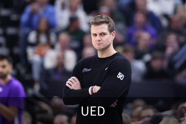 UED公司简介图片